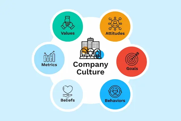 how to evaluate company culture