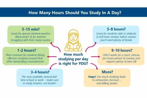 how much to study daily